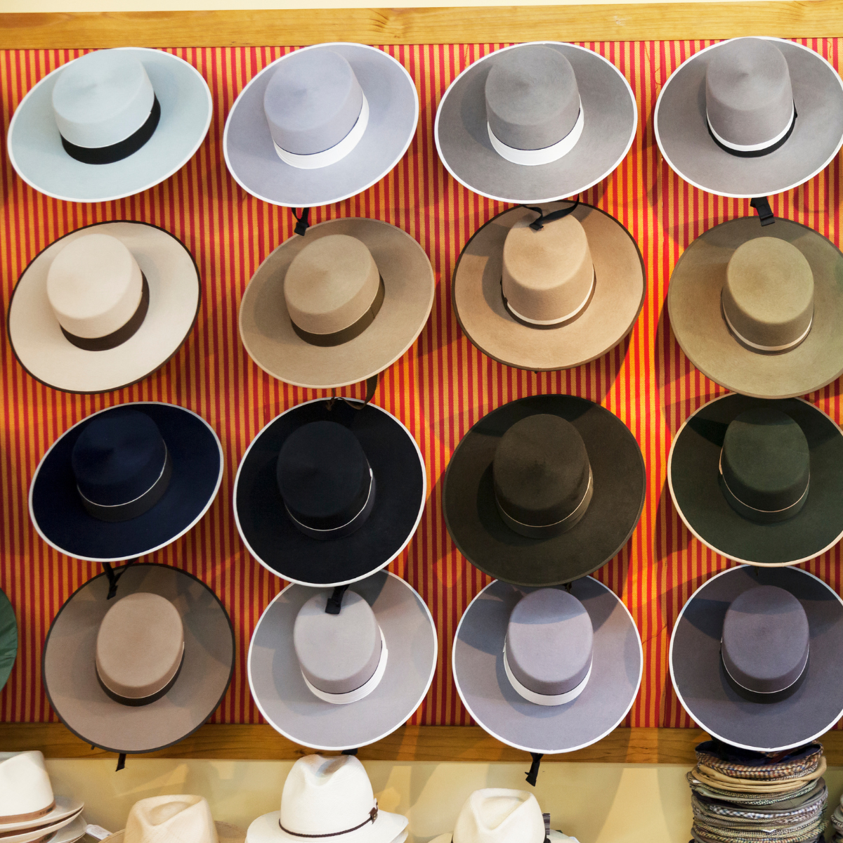 A collection of different types of hats for men displayed hanging on a wall